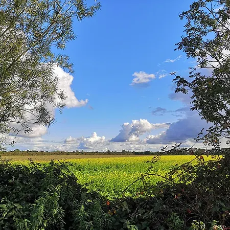 Prázdninový dům Seehaus Westufer Walchum